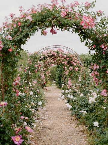 A rose covered arch over a garden path