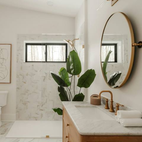 A bright bathroom with a plant on the side
