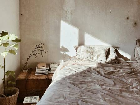 A bedroom with crumpled white linen and a plant on the windowsill