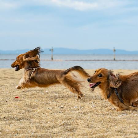 Rosie and Fern at the club