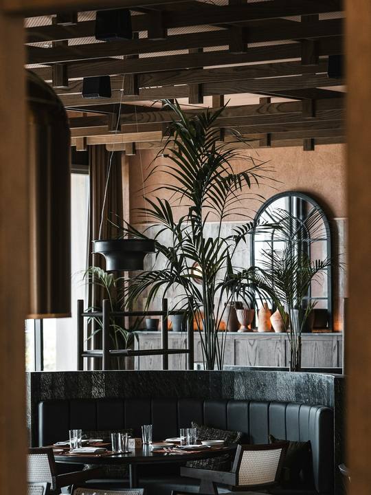 The dining room with tall arched windows and palms