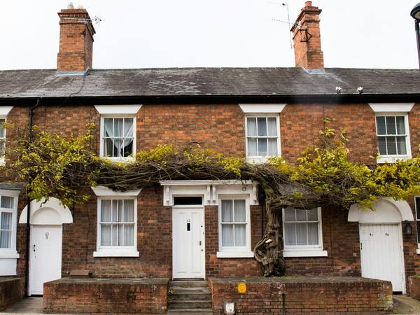 A red brick terraced house with ivy across the front
