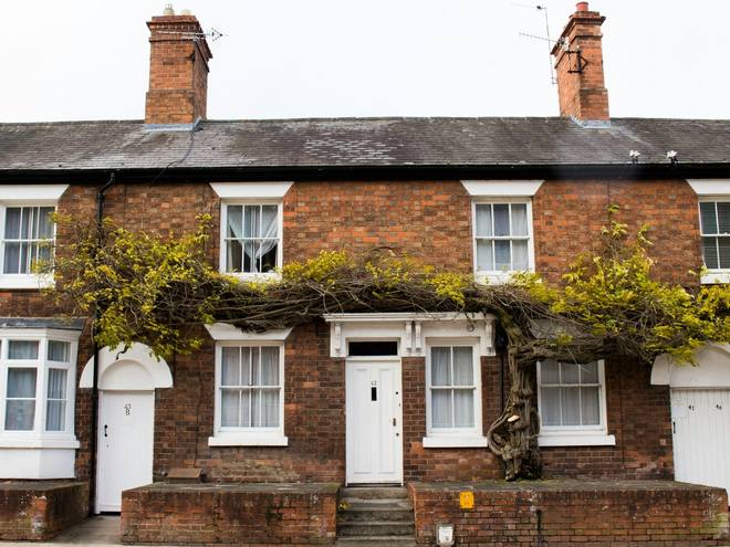 A red brick terraced house with ivy across the front