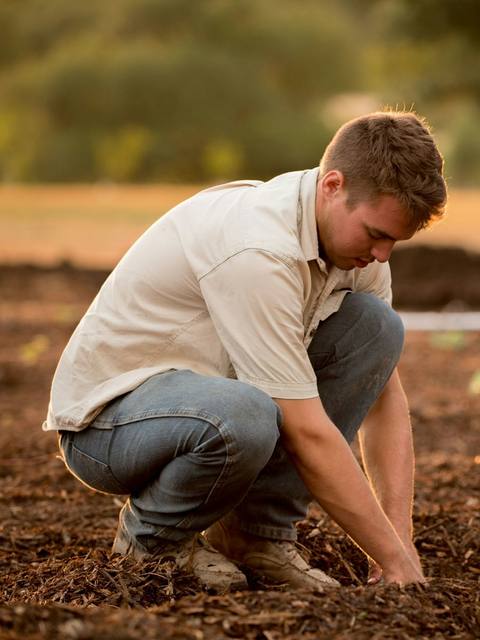 A gardener kneeling to plant into freshly turned soil
