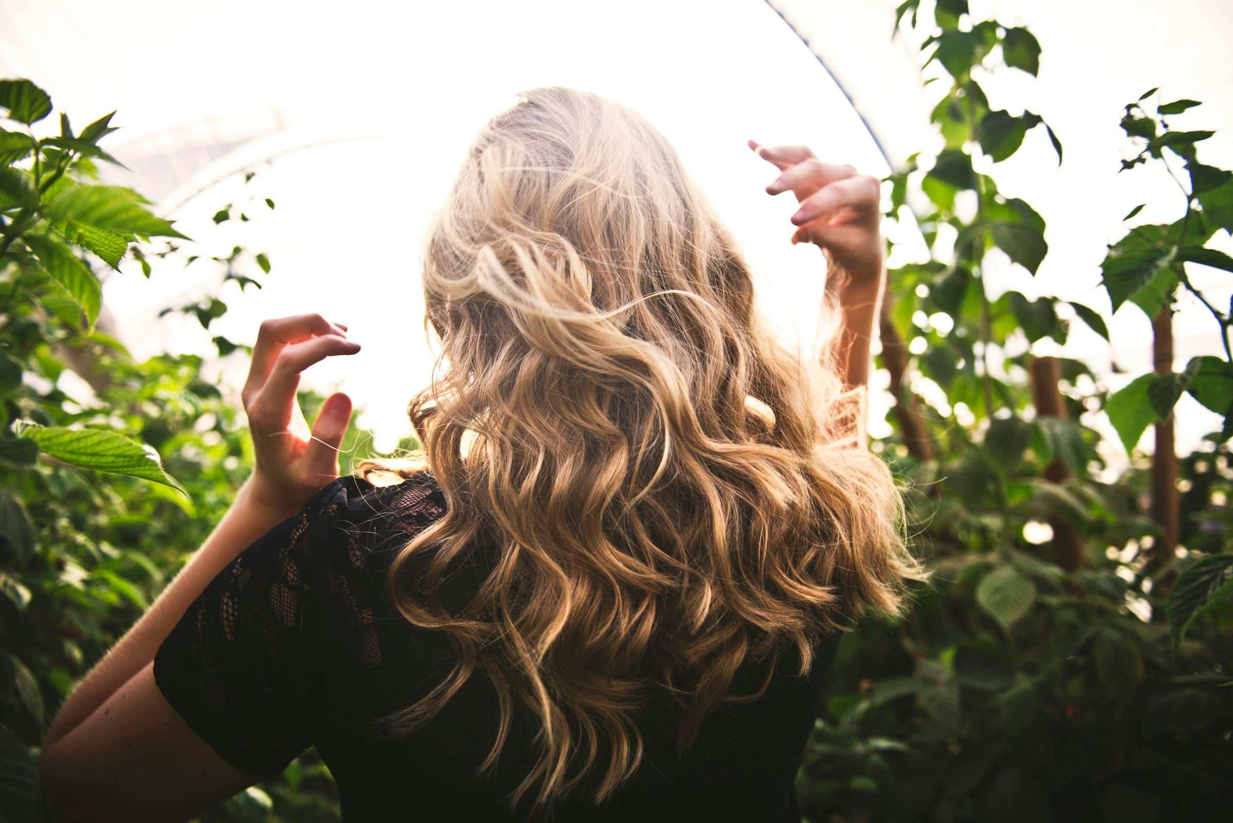 A woman with long golden waves among green leaves, seen from behind