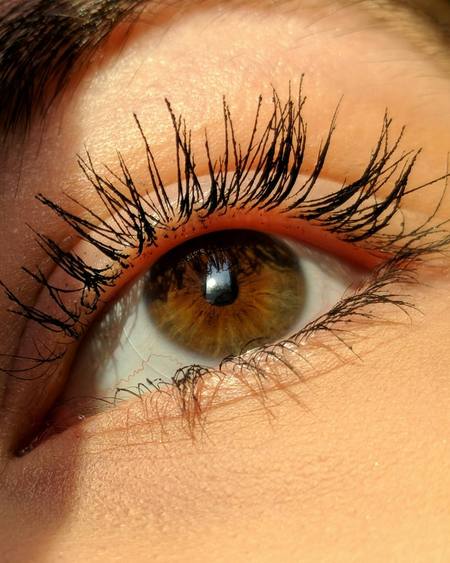 A close-up of long, lifted lashes