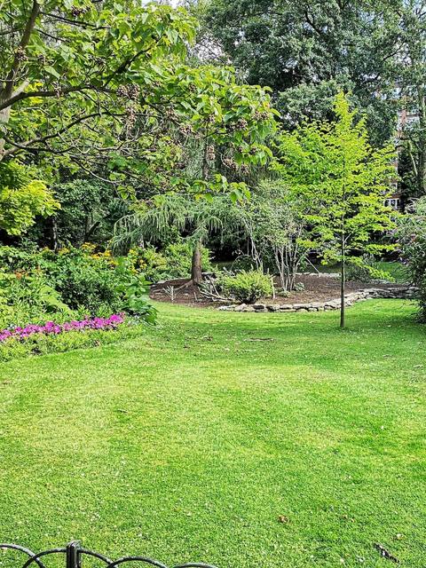A wide lawn edged with deep borders and mature trees