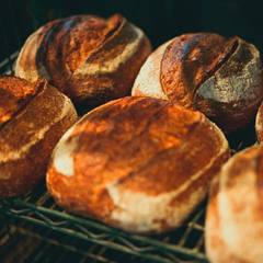 Spelt loaves cooling on a rack