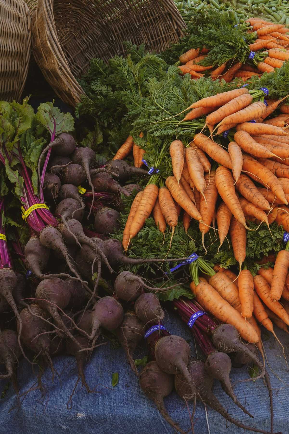 Bunches of carrots and beetroot