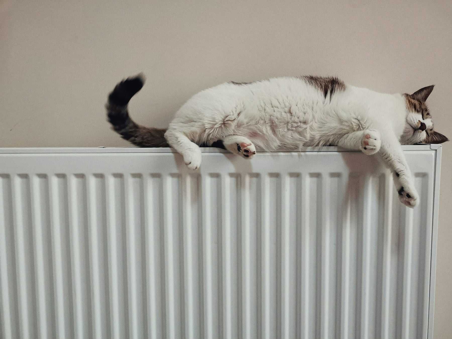 A cat stretched out asleep on top of a warm radiator