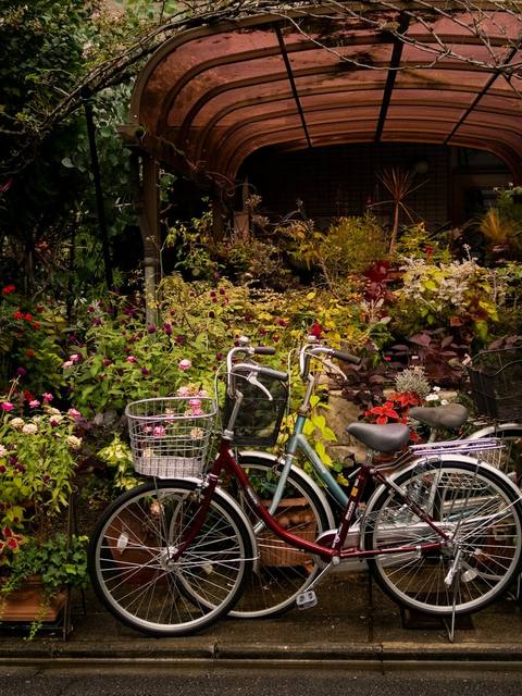 The studio front with bicycles and plants outside