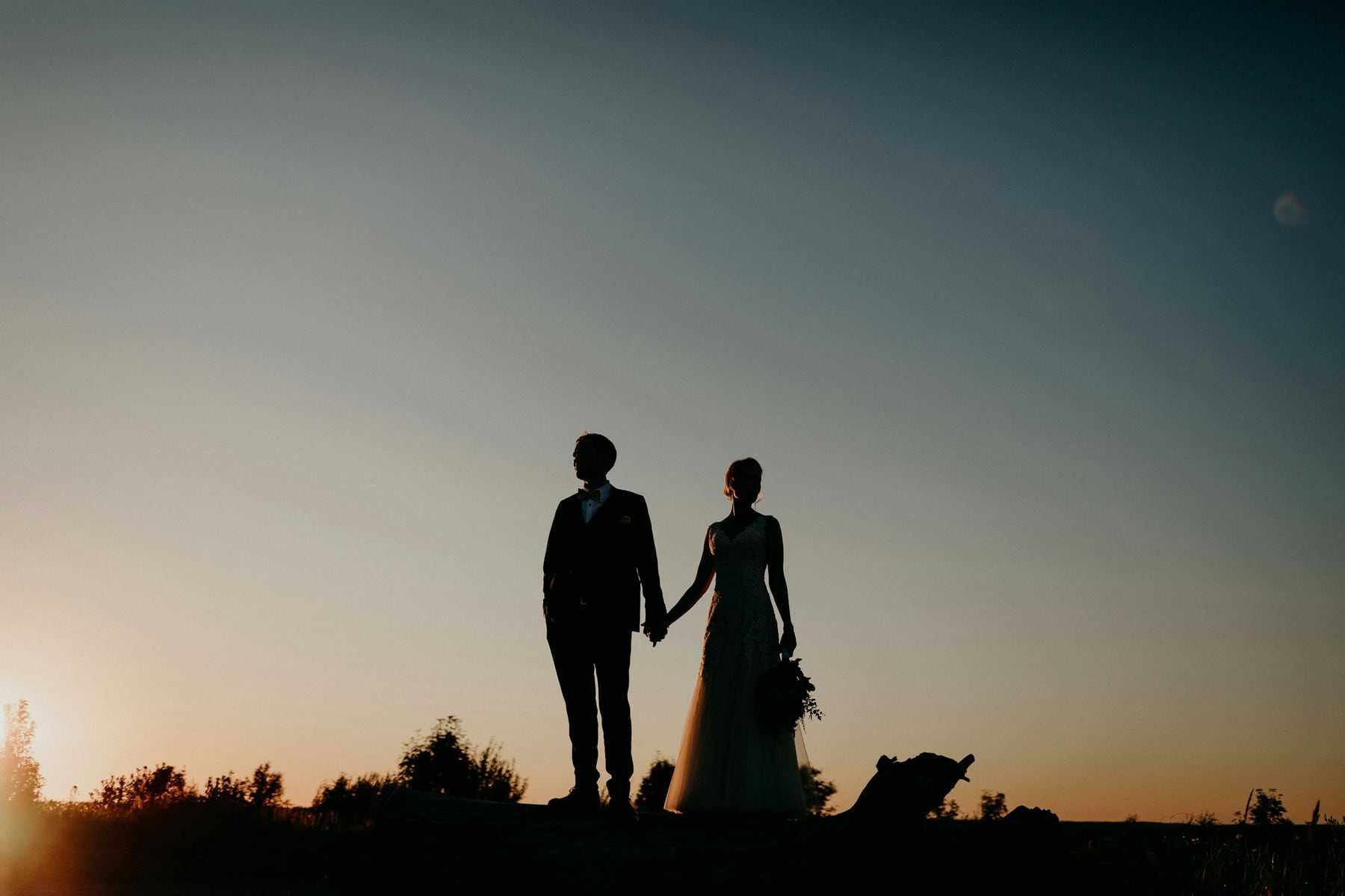 A couple silhouetted hand in hand against a dusky sky