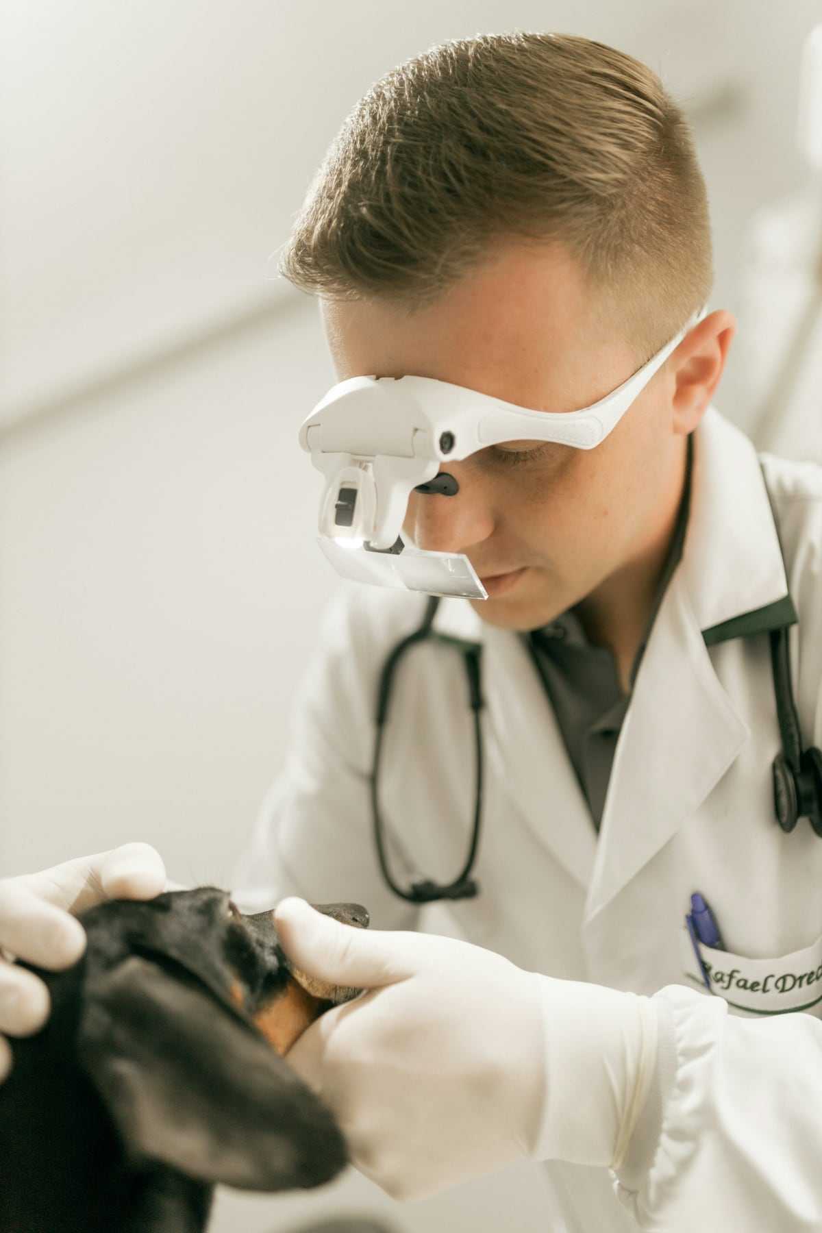 Dr Tomasz Nowak, veterinary surgeon