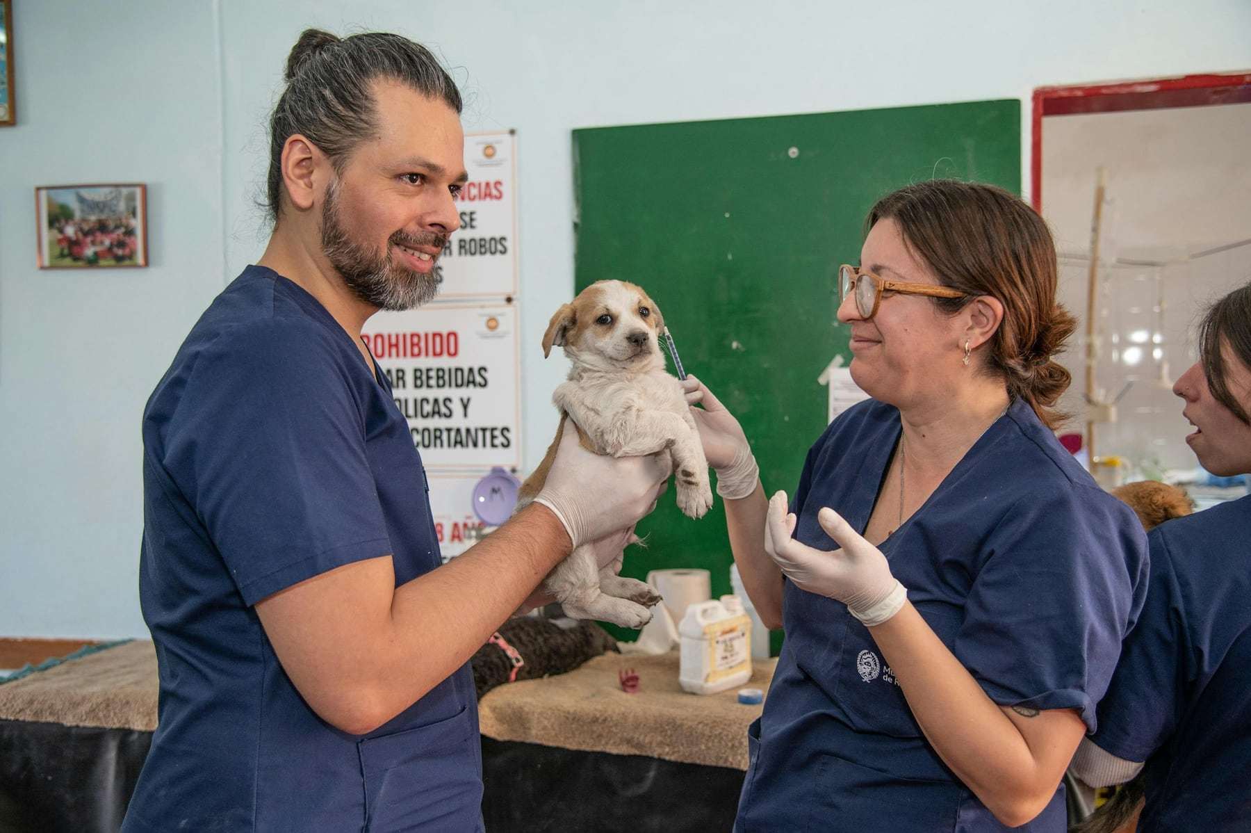 A vet and a nurse in blue scrubs smiling as they hold a small puppy