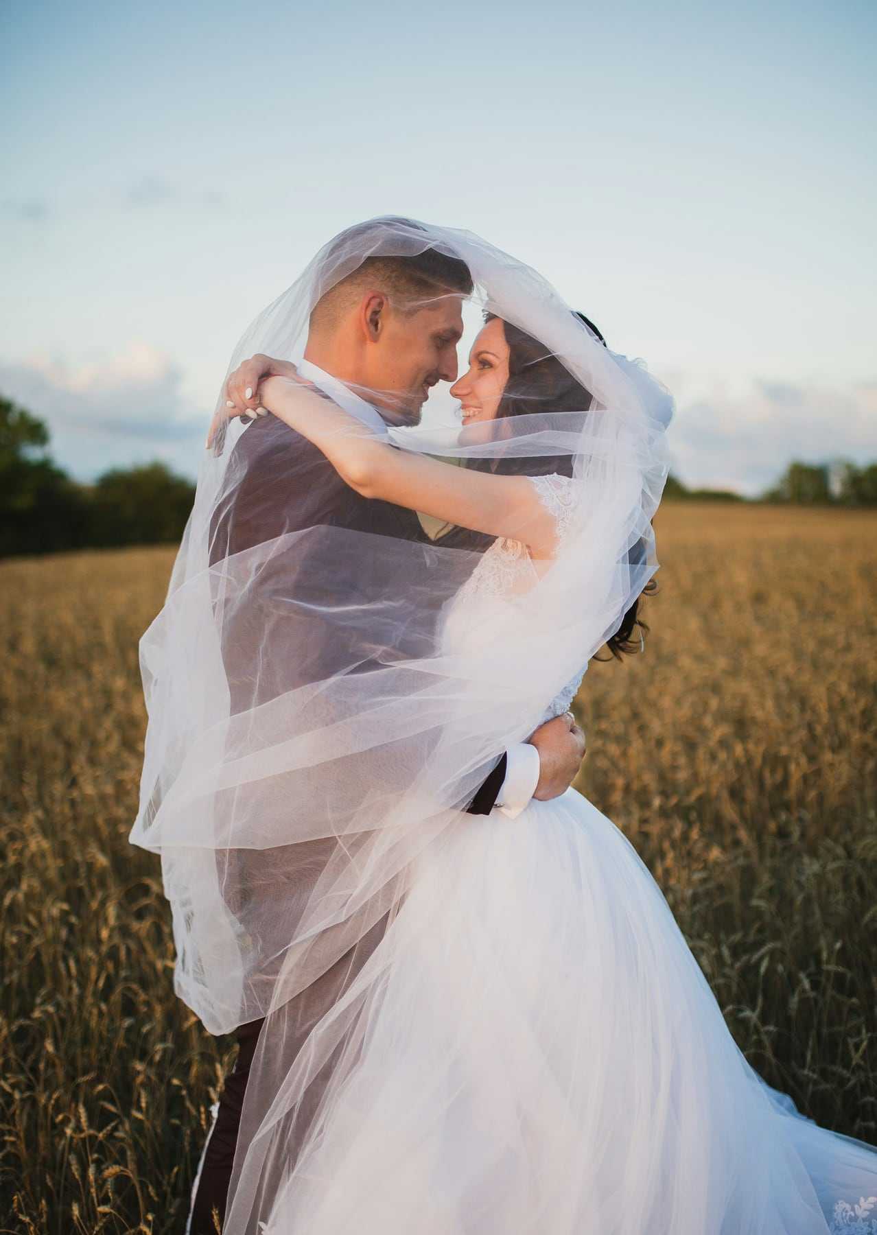 A bride and groom wrapped in her veil in a golden field