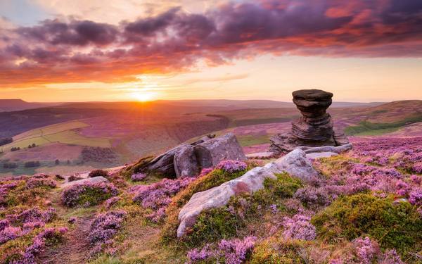 Purple heather and a gritstone outcrop at sunset