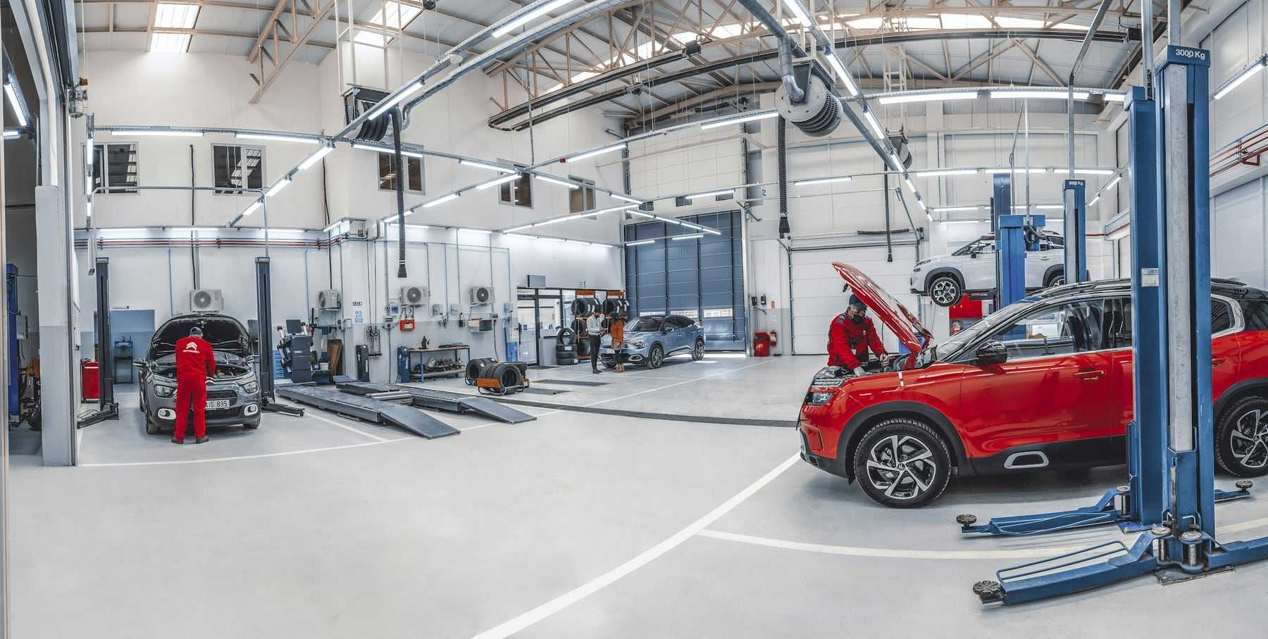 A bright, tidy workshop with cars on blue lifts